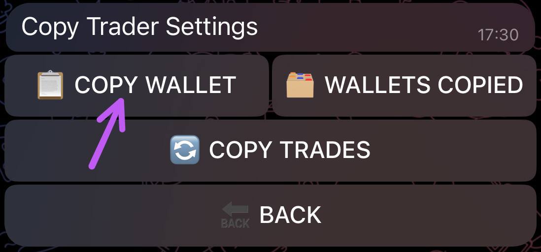 Copy Wallet